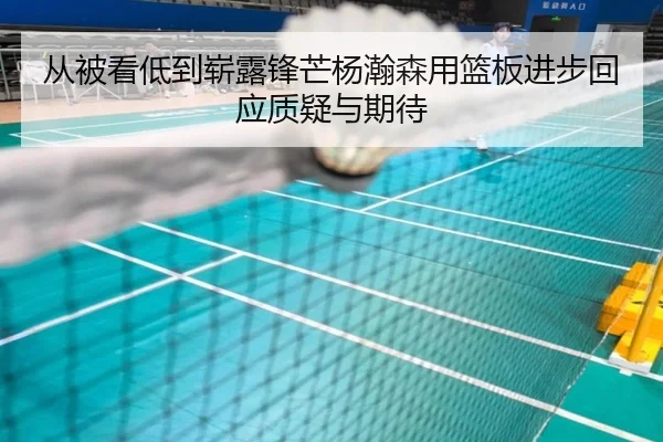 从被看低到崭露锋芒杨瀚森用篮板进步回应质疑与期待